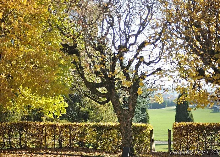 Les Chevreuils Lozanna