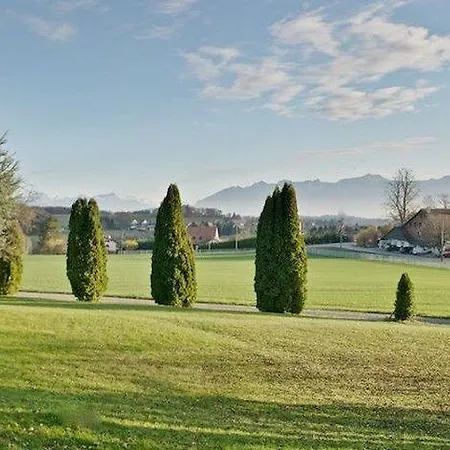 Les Chevreuils